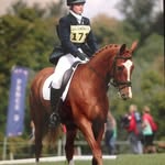 Harriet Ford Eventing - @hfeventingg - Instagram