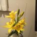 Harriet Marae - Facebook