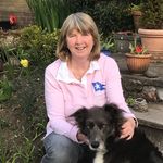 Harriet Ryan - @ryan.harriet - Instagram