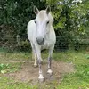 Harriet Wallace - @harriet.wallace22 - TikTok