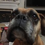 Harrison - @harrisonbernstein08 - Instagram