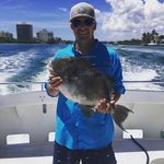 Harris Friedman - @harrisfriedman - Instagram