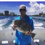 Harris Friedman - Facebook