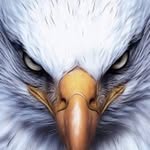 Harris Gilbert - @harrisgilbert98 - Instagram
