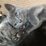HarrisGreenEyes - @harrisgreeneyes - Instagram