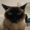 Harrison Kramer - @harrison.kramer - TikTok