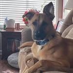 Jennifer Harris Kramer - @kramerwife1974 - Instagram
