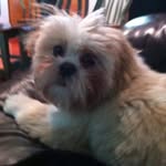 Susan Harris Kramer - @susanharriskramer - Instagram
