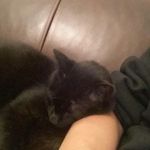 Harris Lerner - @harris_in_paris - Instagram