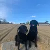 harris_mcleod08 - @harris_mcleod08 - TikTok