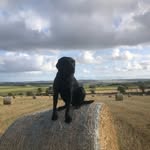 Harris Mcleod - @harris_mcleod11 - Instagram