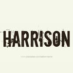 Harrison - @harrison_mcleod - Instagram