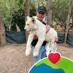Harrison Abbott - Facebook