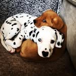 Harrison Abbott - @harrisonabbott7 - Instagram