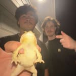 harrison adams - @harriiisonadams - Instagram