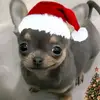 Harrison Adams - @harrison.adams08 - TikTok