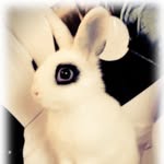 Harrison Barlow - @harrison_b1807 - Instagram