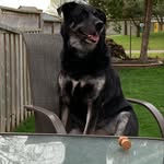 Bauer Harrison - @bauer_harrison_ - Instagram