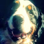 Harrison Bauer - @yaboitheme - Instagram
