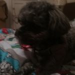 Harrison Bennett - @harrisonbennett2006_ - Instagram