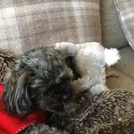 Harrison Bennett - @harrisonbennettt123456 - Instagram