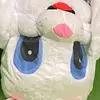 harrisonberg6 - @harrison.berg1 - TikTok