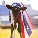 Harrison Bowman - Facebook