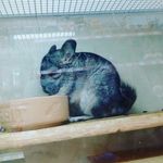 harrison brewer - @harrisonbrew100 - Instagram