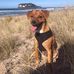Harrison Bryant - Facebook