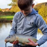 Harrison bucko - @harrisonbucko - Instagram