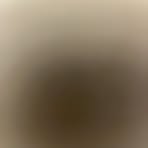 Harrison Cannon - Facebook