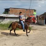 Harrison Castro - @harrisoncastro60 - Instagram