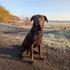Harrison Clayton - @harrison.clayton5 - TikTok