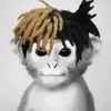 Monkey XXXTENTACION - @harrison_clements_llj - TikTok