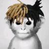 Monkey XXXTENTACION - @harrison_clements_llj - TikTok