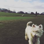 Harrison Cochrane - @harrison_cochrane.1 - Instagram