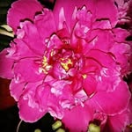 markharrisonconley - @markharrisonconley9647 - Instagram