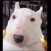 Harrison Cooper - Facebook