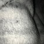 Harrison Dawson - @harrisondawson27 - Instagram