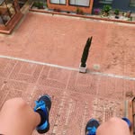 Harrison Díaz - @harrison_diaz_10 - Instagram
