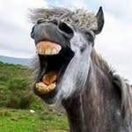 harrison fëllô - @harrison_fell - Instagram