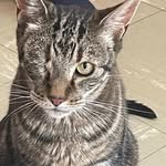 Floyd Harrison - @floydharrisonbarks - Instagram