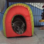 Harrison Floyd - @harry_the_chinchilla13 - Instagram