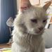 Harrison Fowler - Facebook