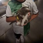 Harrison Francis - @harrison.francis13 - Instagram