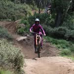 Harrison Francis - @harrisson.mtb - Instagram