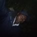Harrison Francis - Facebook