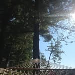 Harrison Gates - @harrisongates5 - Instagram