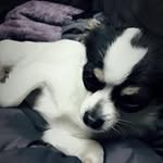 Harrison Gilbert - @gilbert.harrison - Instagram