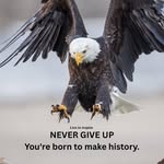 Harrison Gilbert - @harrison.gilbert.716 - Instagram